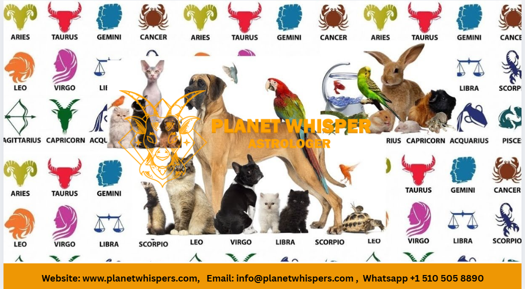 Pets and Zodiac: Best Pet for Each Sign