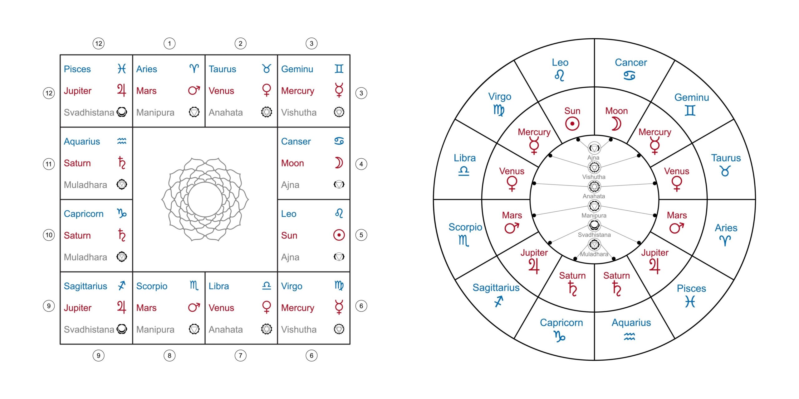✨ Your Zodiac Sign is the Key to Unlocking Your Perfect Daily Horoscope